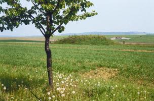Ligne Maginot - AB24 - (Blockhaus pour canon) - La protection du blockhaus. 
Ab23 en arrière plan
