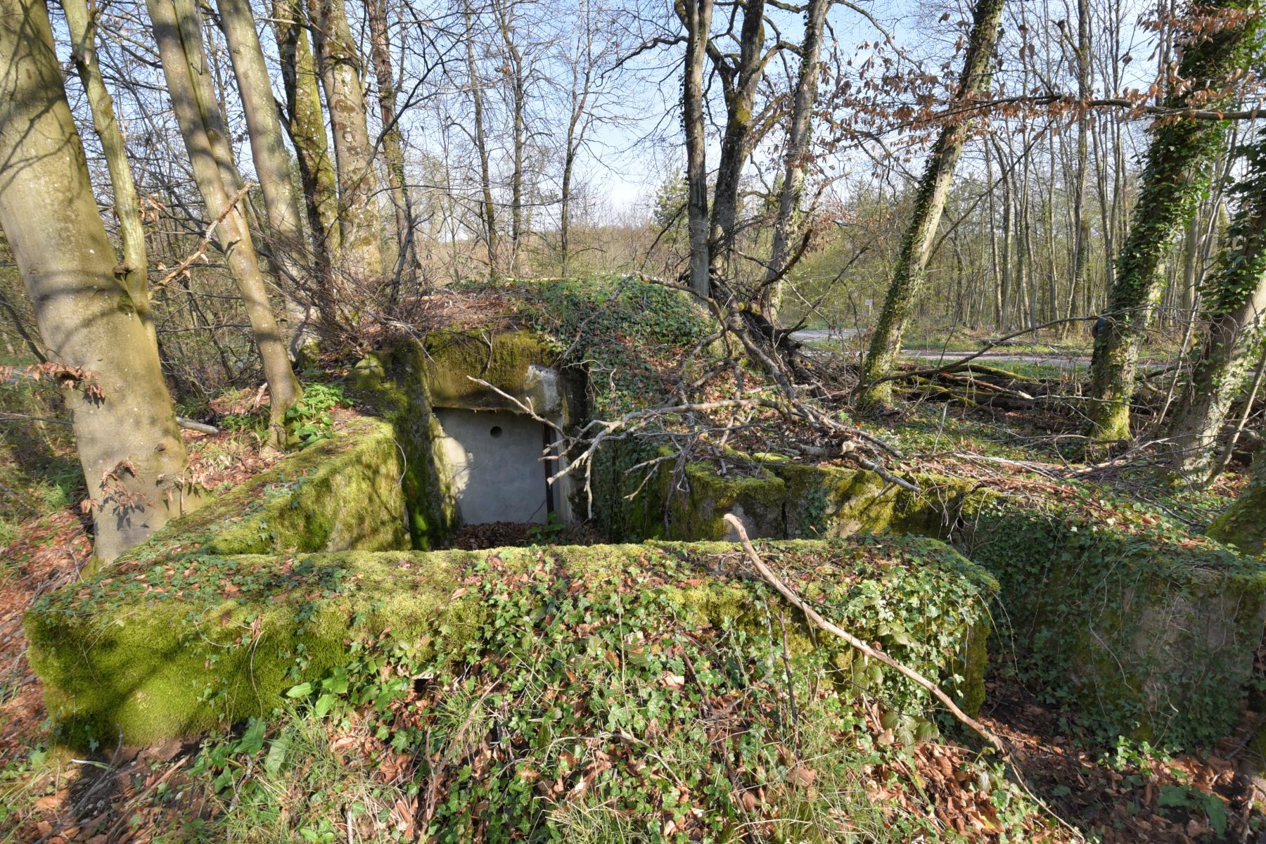 Ligne Maginot - SCHLOSSWALD 1 - (Blockhaus pour arme infanterie) -  - Ludovic KNAPP
