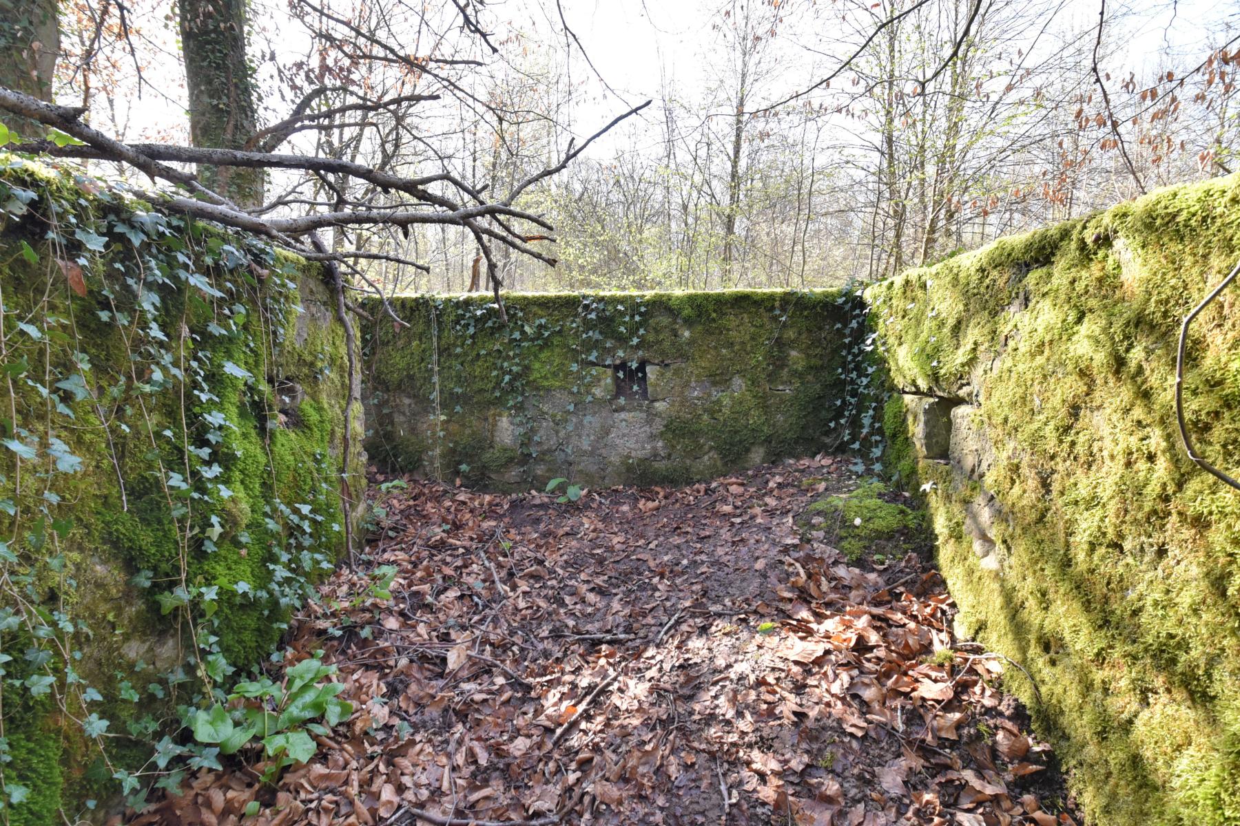 Ligne Maginot - SCHLOSSWALD 1 - (Blockhaus pour arme infanterie) -  - Ludovic KNAPP