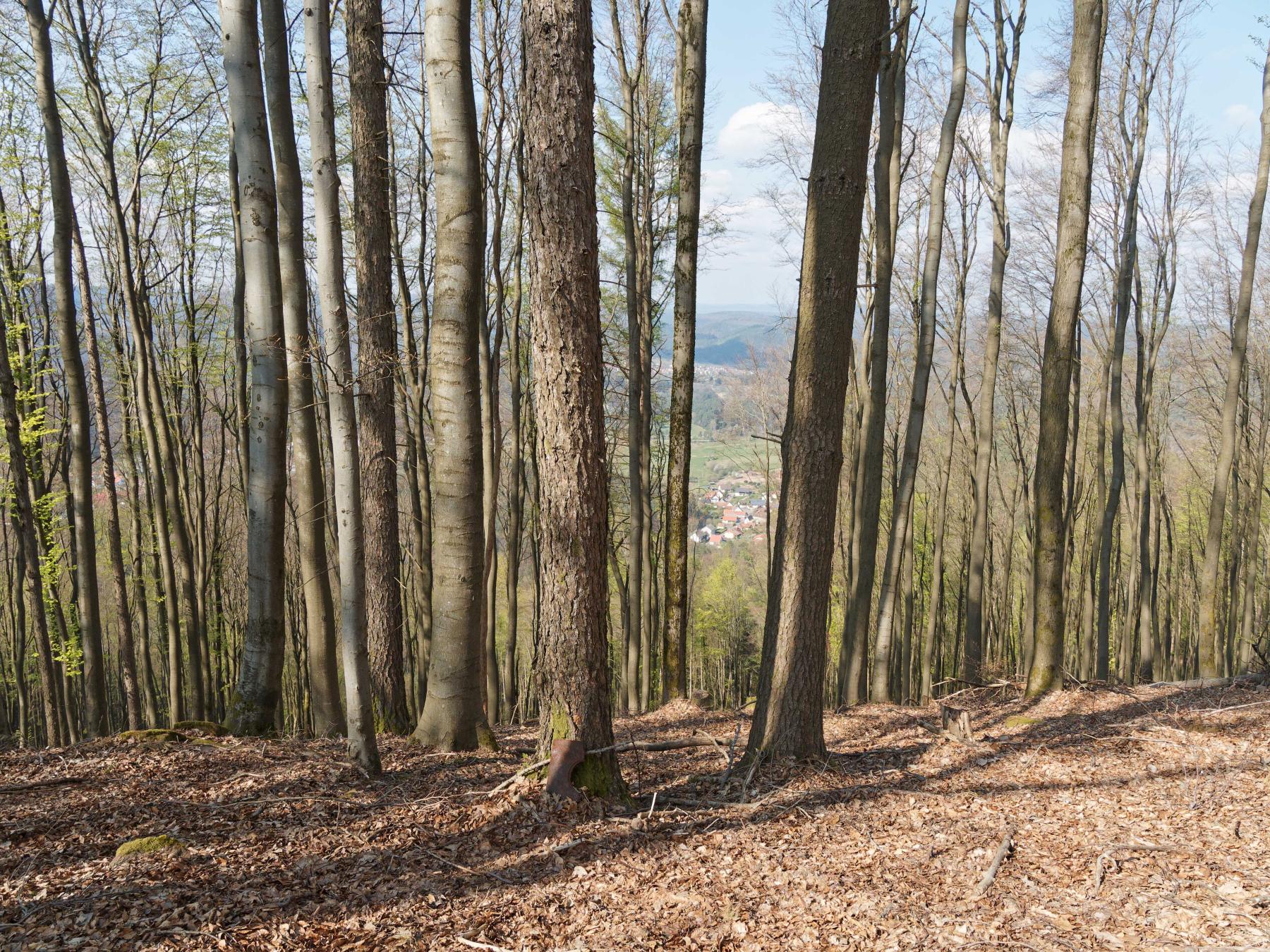 Ligne Maginot - OBSERVATOIRE - MAIMONT - (Observatoire d'artillerie) - Vue sur la région frontalière allemande - Jürgen Morr