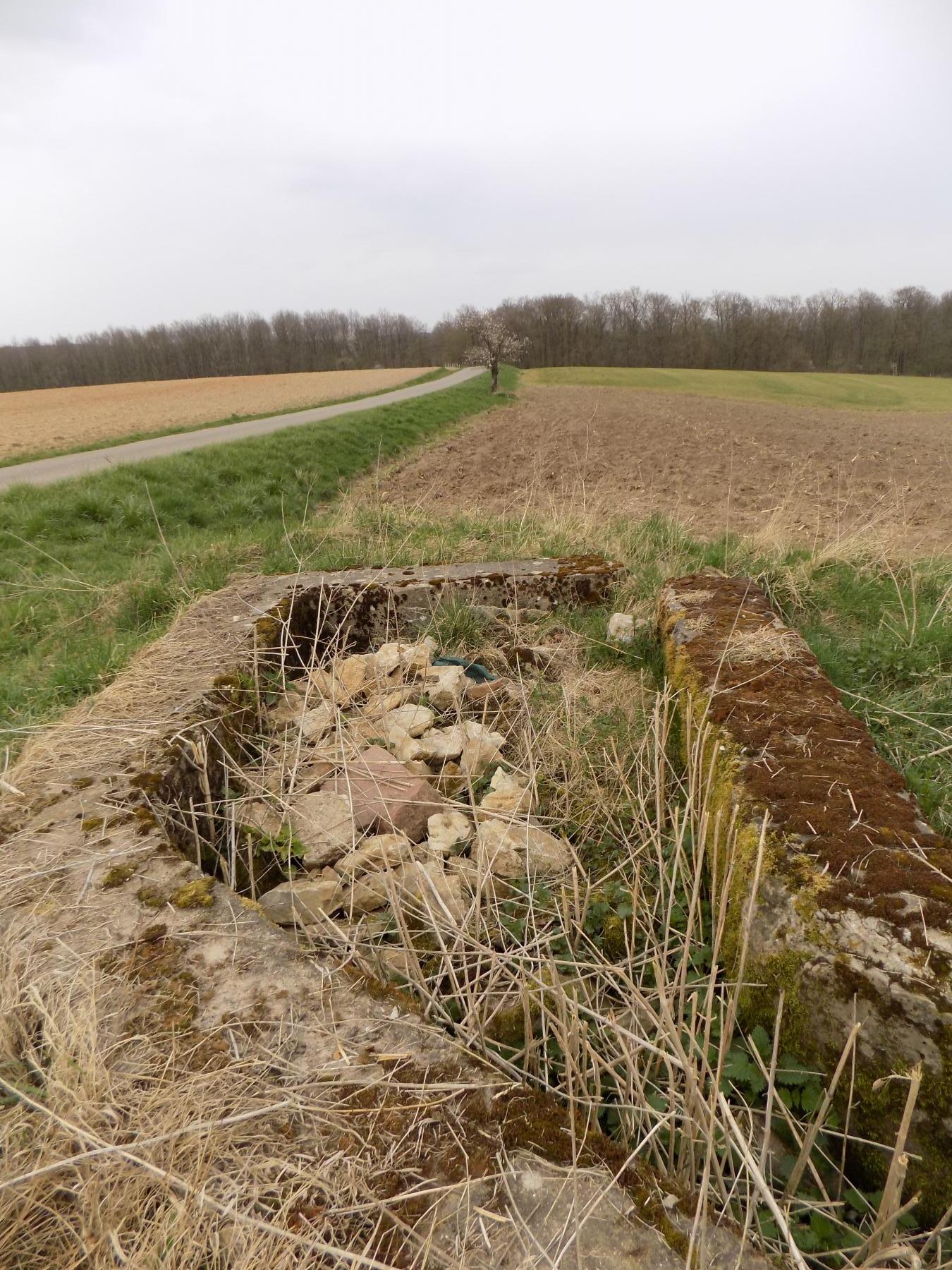 Ligne Maginot - BREITTUER 5 - (Cuve pour arme d'infanterie) - Vue dégagée de la position
