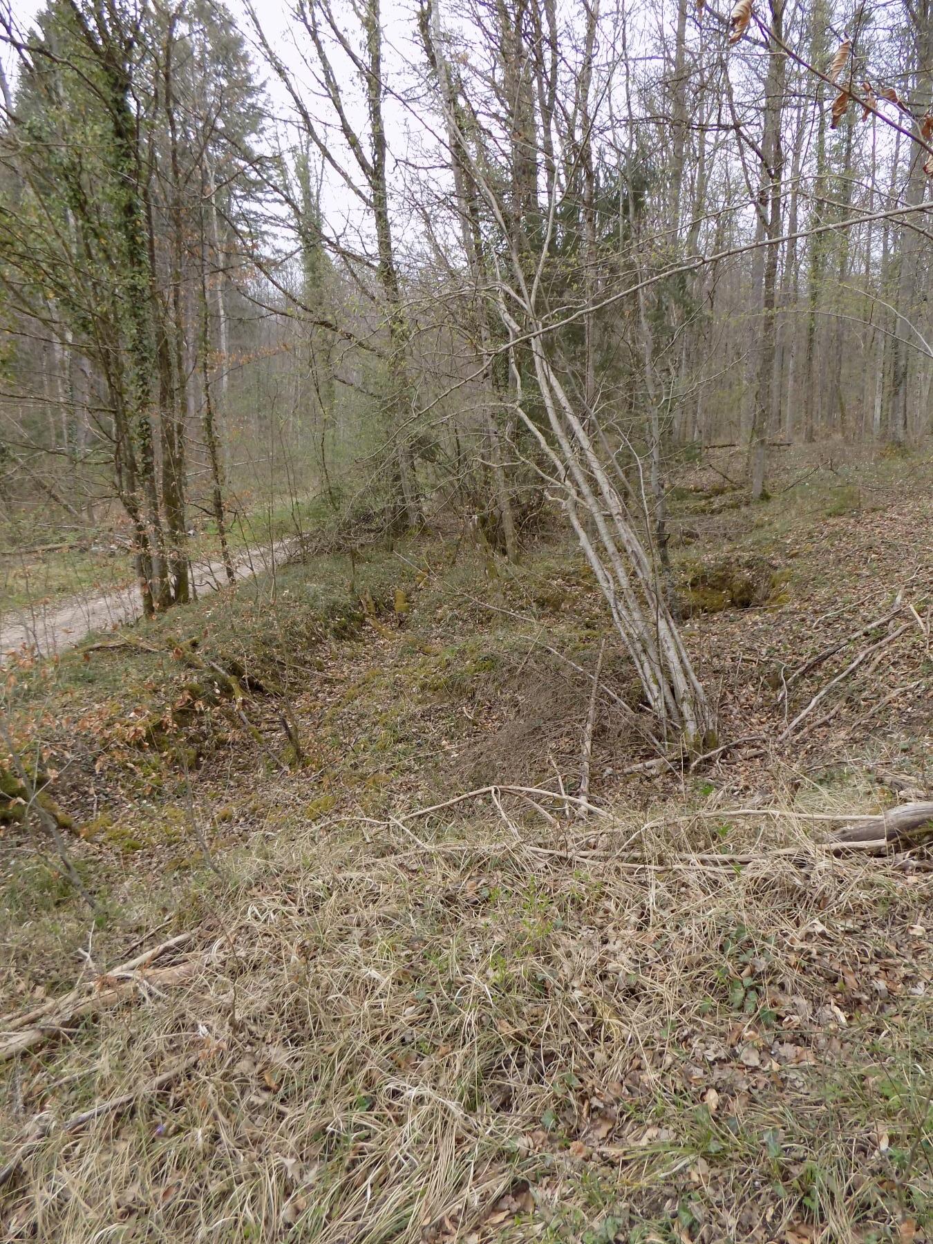 Ligne Maginot - SAUER (III°BON - 165°RIF) - (PC de Quartier) - Trace de l'emplacement des 3 cahutes installées à proximité
