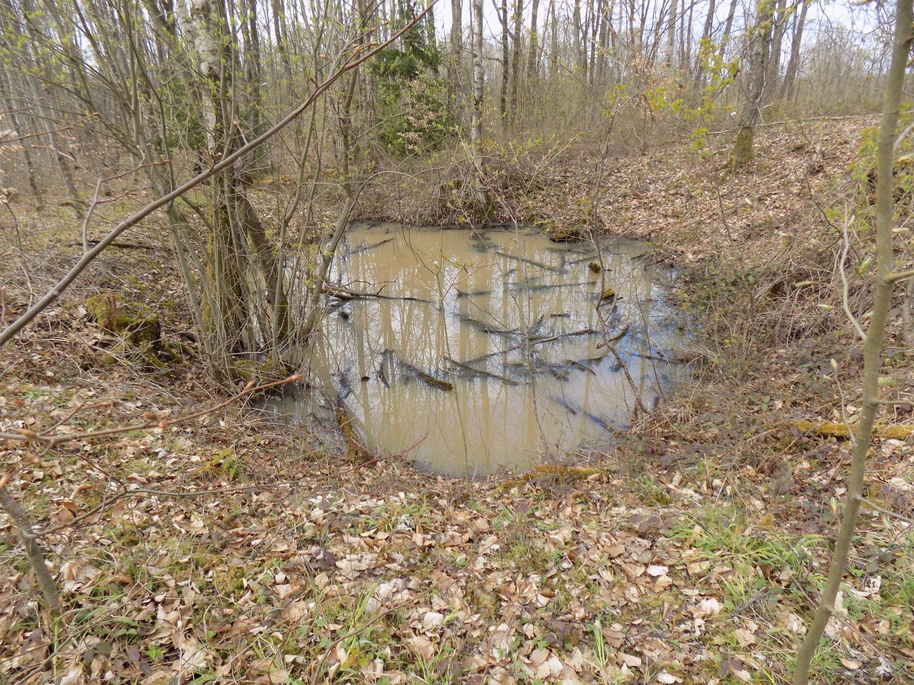 Ligne Maginot - FREUDENBERG - (Casemate d'infanterie) - Un des nombreux impact du bombardement de 1944 autour de la casemate - Luc Jacquemin