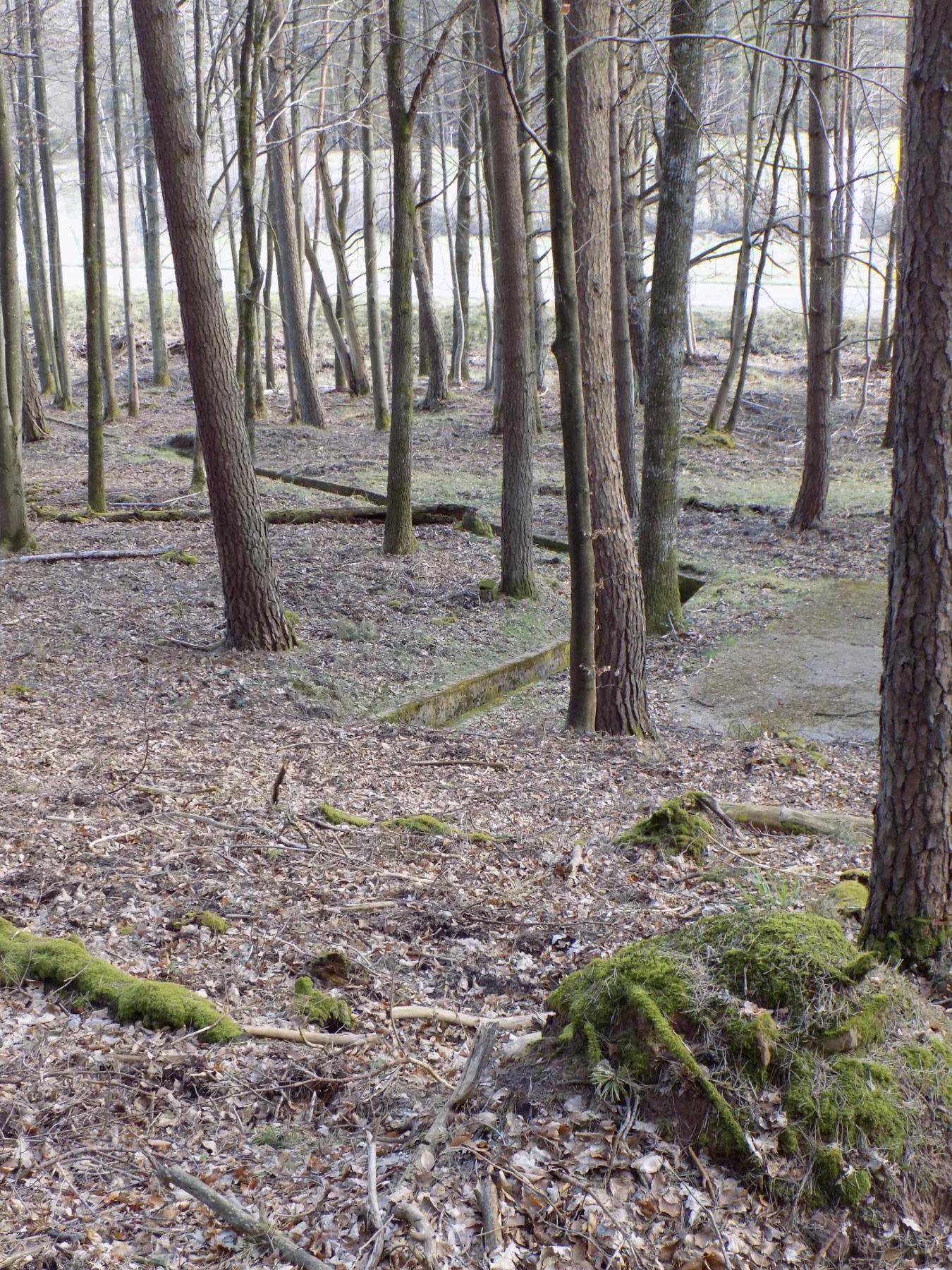 Ligne Maginot - KINDELBERG (QUARTIER CAMP - III/37° RIF) - (Abri) - Sortie de l'égout vers la route - JL