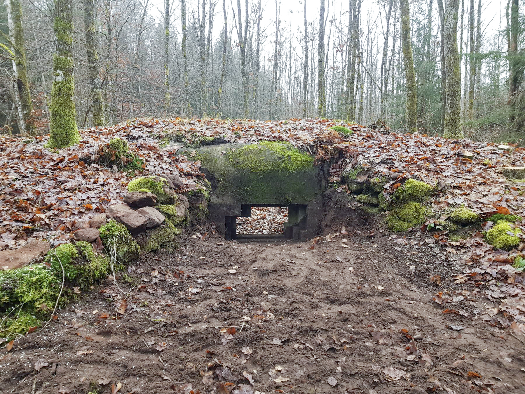 Ligne Maginot - REHKOEPFEL - (Blockhaus pour canon) - Bouclier pour canon de 25 AC