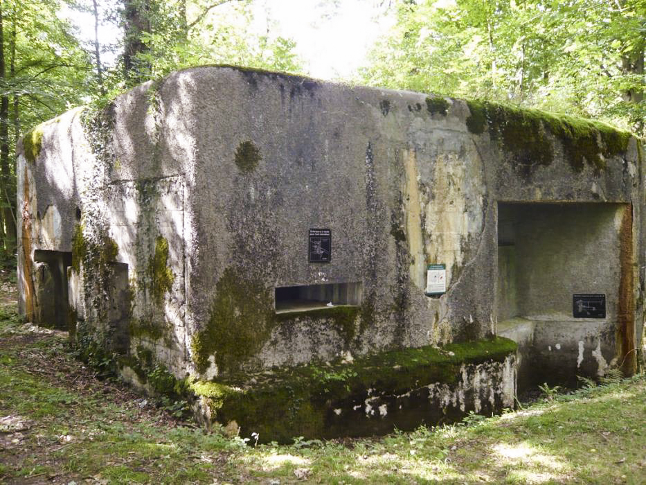 Ligne Maginot - A26-A - FONTAINE OUEST - (Blockhaus pour canon) - 
