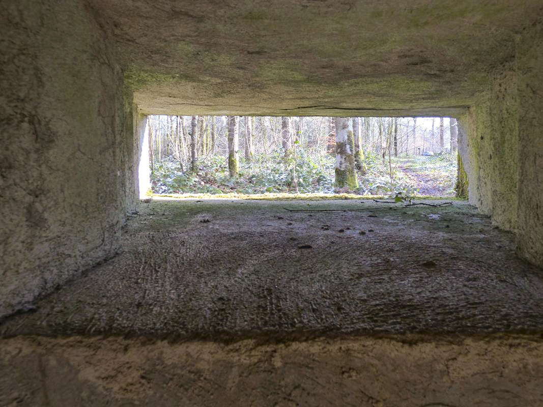 Ligne Maginot - A26-A - FONTAINE OUEST - (Blockhaus pour canon) - 
