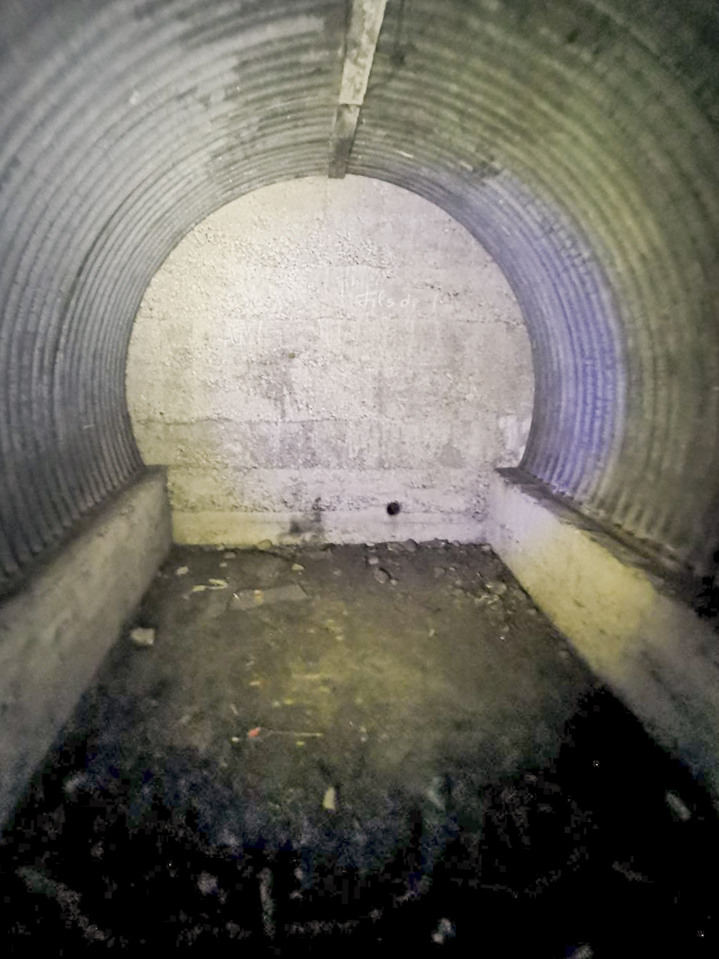 Ligne Maginot - KEMBS LOECHLE 3 - (Abri) - Alvéole 4 - leiraph