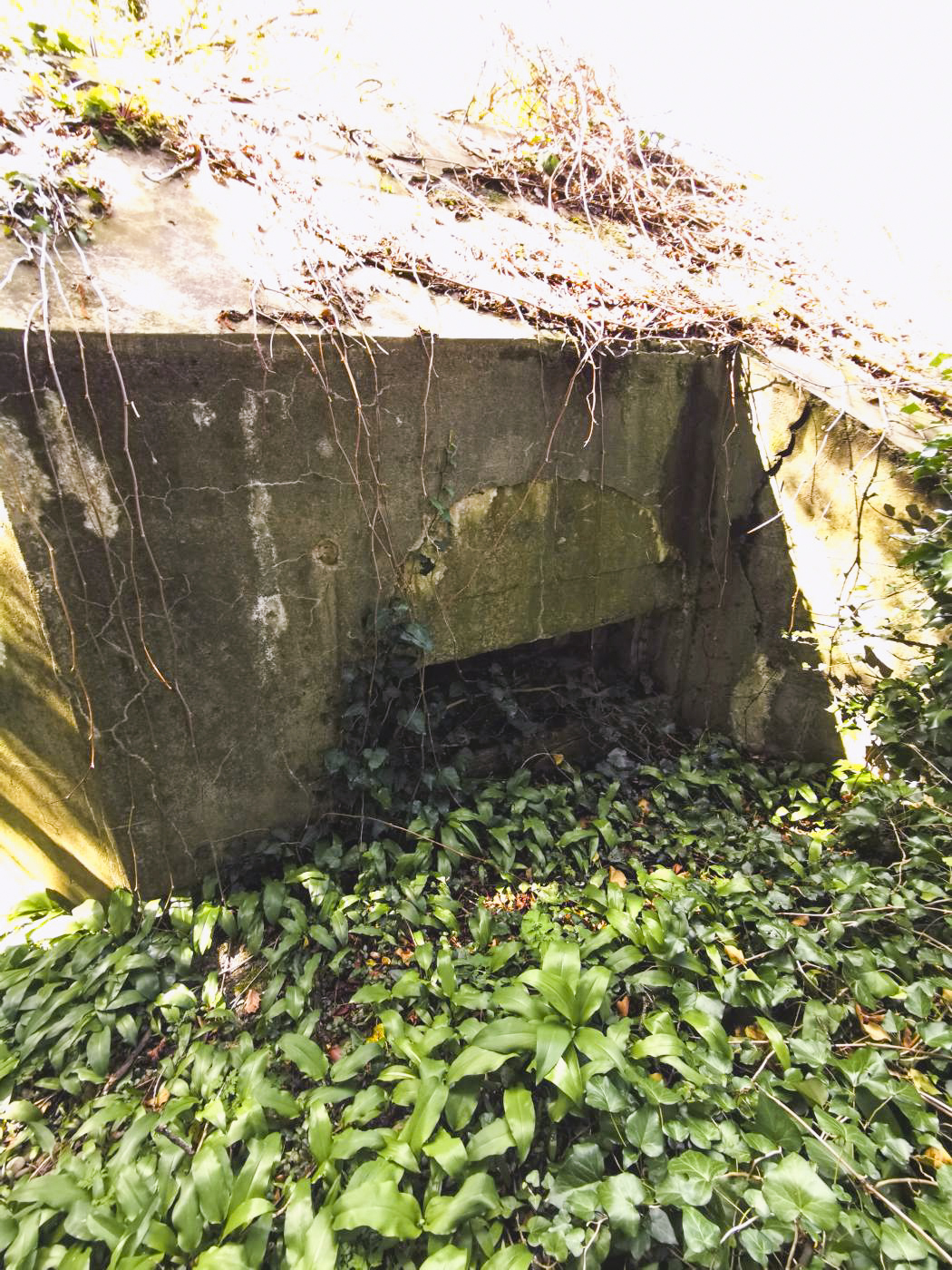 Ligne Maginot - HABERHAEUSER 1 (Blockhaus pour arme infanterie) - Le créneau à l'avant. - leiraph