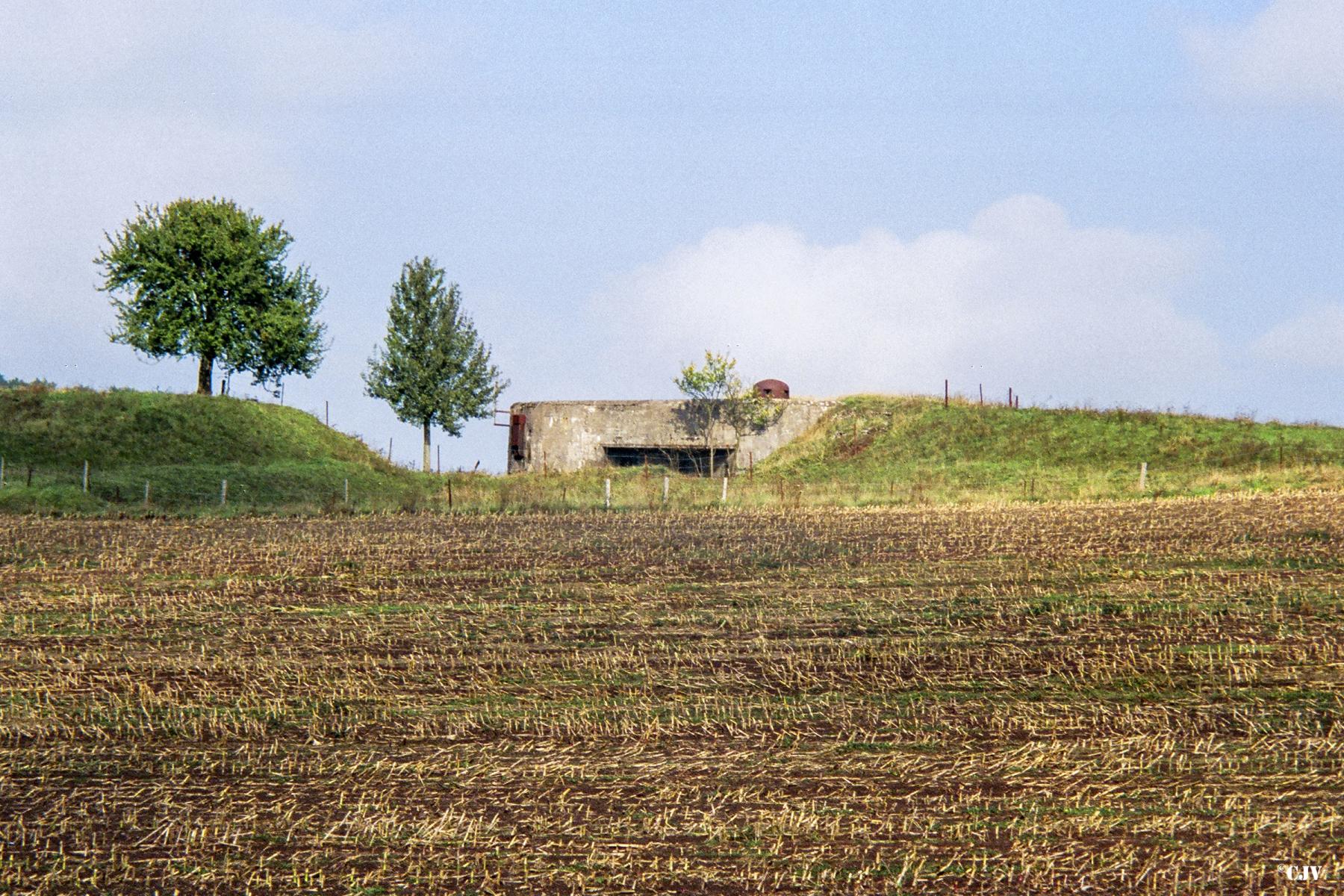 Ligne Maginot - MENSKIRCH - C57 - (Casemate d'infanterie - double) - Vue de la casemate parfaitement intégrée dans la levée de terrain ou elle est construite - Lia VERMEULEN