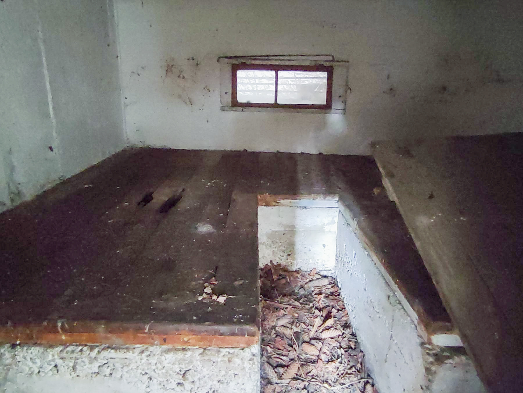 Ligne Maginot - LEMBACH 2 (AVANT POSTE) - (Blockhaus pour canon) - La chambre de tir - JL