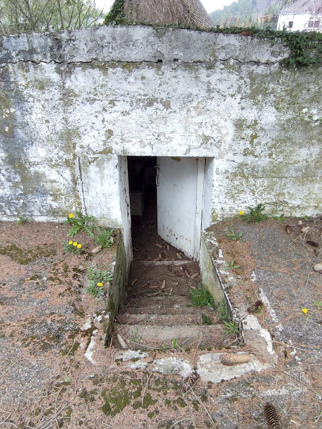 Ligne Maginot - LEMBACH 2 (AVANT POSTE) - (Blockhaus pour canon) - L'entrée principale - JL