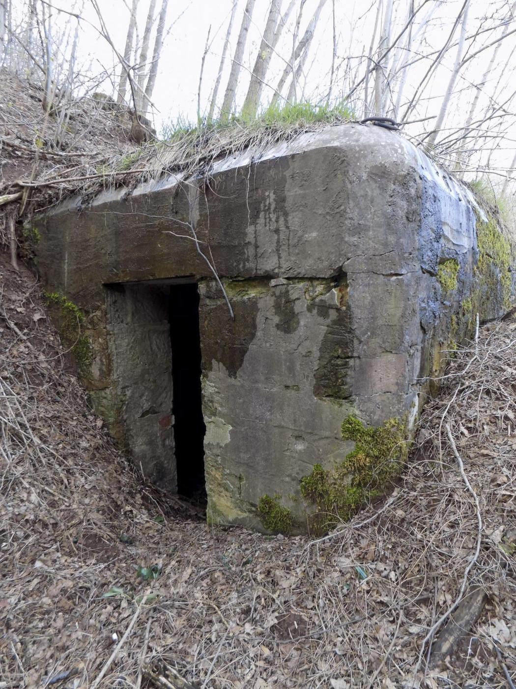 Ligne Maginot - GALGENBERG Est (Blockhaus pour arme infanterie) - L'entrée - J.Luc