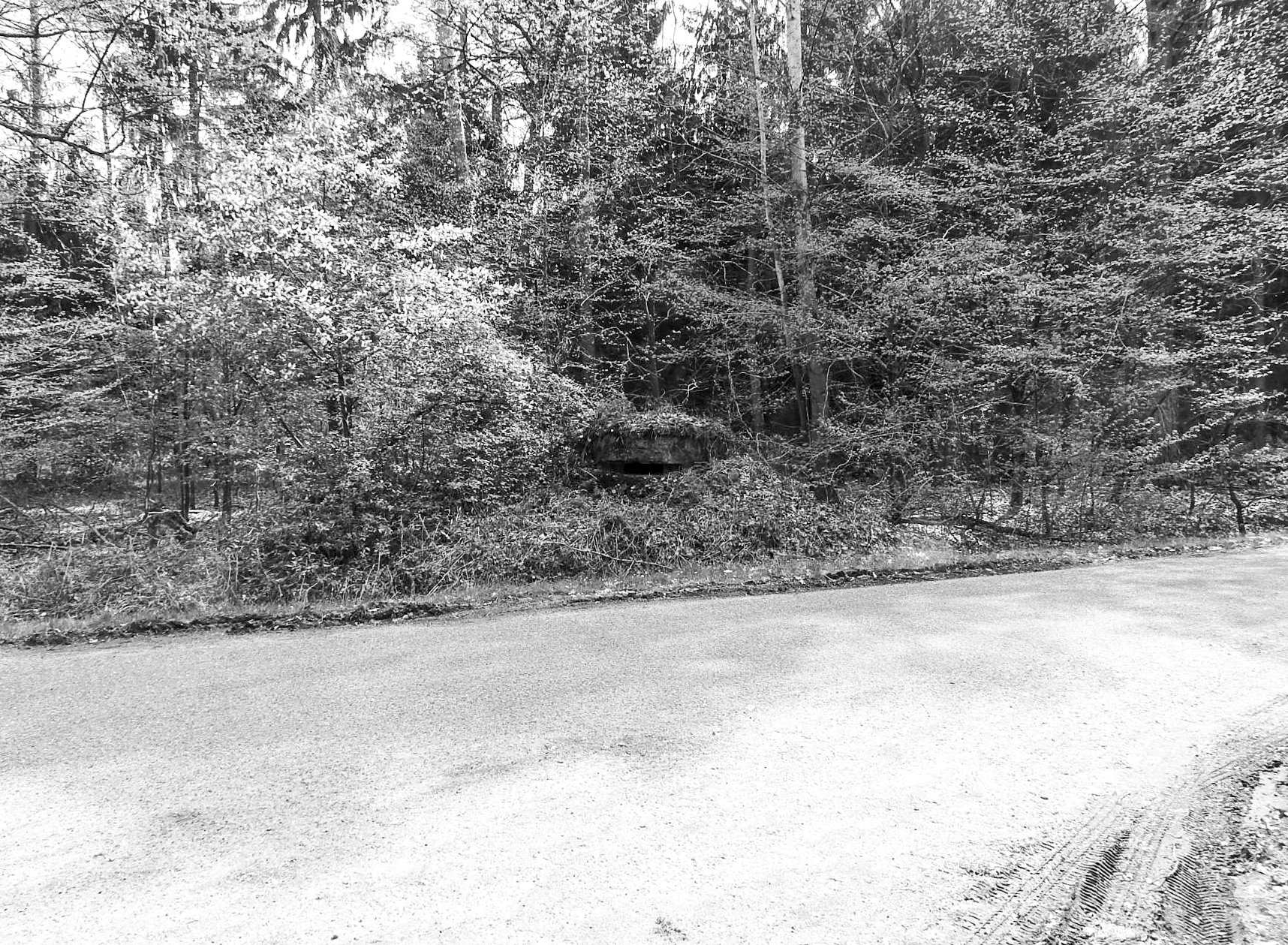 Ligne Maginot - RENDEZ VOUS DE CHASSE 2 - (Blockhaus pour arme infanterie) - La coupole - STENGER Mathieu