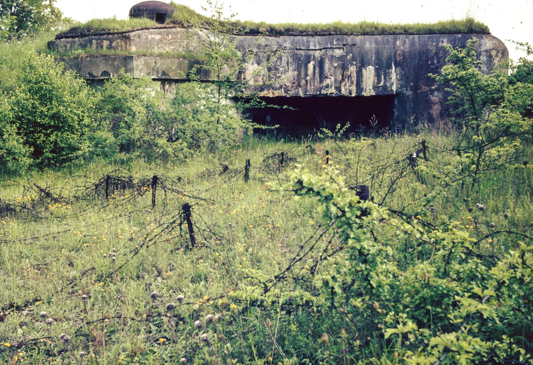 Ligne Maginot - MOTTENBERG SUD - C69 - (Casemate d'infanterie - double) -  - MANSUY Michel