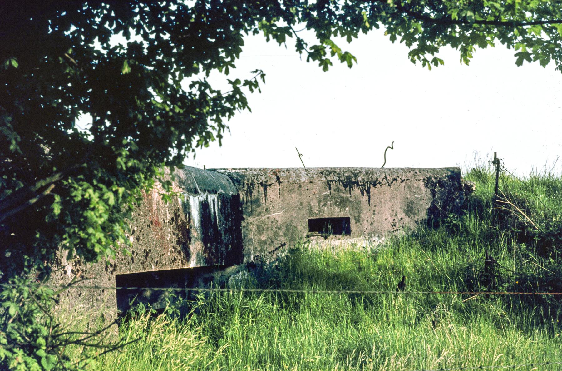 Ligne Maginot - AB3 - (Blockhaus pour canon) -  - MANSUY Michel