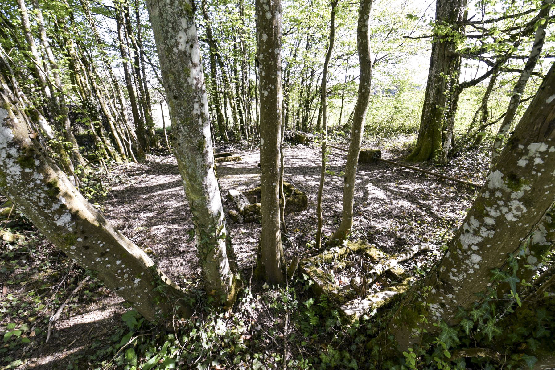 Ligne Maginot - ANGEVILLERS (CAMP) - (Camp de sureté) -  - Ludovic KNAPP