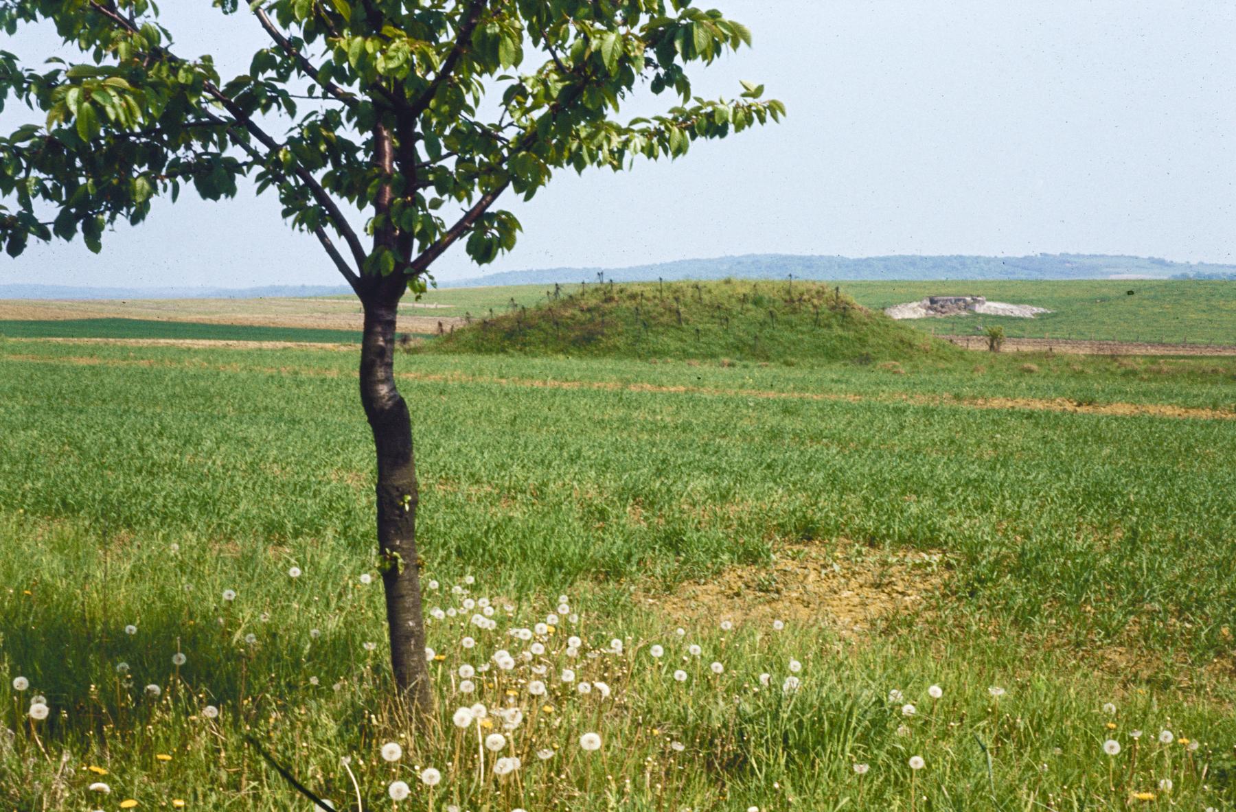 Ligne Maginot - AB24 - (Blockhaus pour canon) - La protection du blockhaus. 
Ab23 en arrière plan - MANSUY Michel