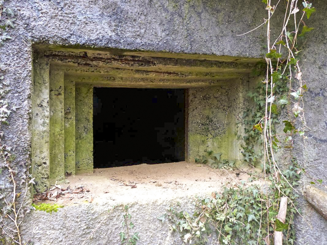 Ligne Maginot - A28 - ROUTE DE L'INSPECTEUR EST - (Blockhaus pour canon) -  - JMBrams