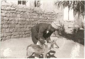 Ligne Maginot - Sous-Lieutenant Henri Thouément - Au Liban avec un loup apprivoisé 1932