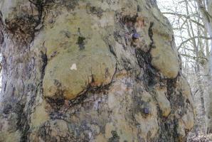 Ligne Maginot - ECLUSE 52 - (Observatoire d'infanterie) - Quelques détails