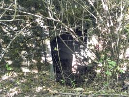 Ligne Maginot - BOIS DE DESSENHEIM SUD-OUEST 6 - (PC) - Entrée