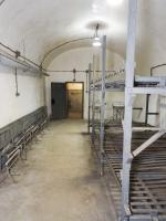 Ligne Maginot - KINDELBERG (QUARTIER CAMP - III/37° RIF) - (Abri) - Chambrée