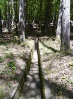 Ligne Maginot - KINDELBERG (QUARTIER CAMP - III/37° RIF) - (Abri) - Égout/issue de secours