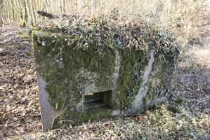Ligne Maginot - ABO17 - BAMBESCH OUEST - (Blockhaus pour canon) - 