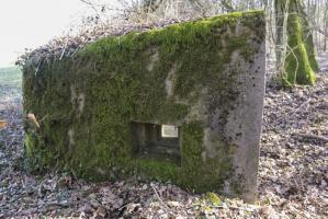 Ligne Maginot - ABO17 - BAMBESCH OUEST - (Blockhaus pour canon) - 