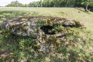 Ligne Maginot - PETERSHECKE 5 - (Observatoire d'infanterie) - 