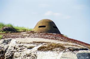 Ligne Maginot - B775 - BOIS DES AUVENELLES - (Blockhaus pour canon) - 