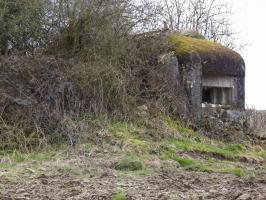 Ligne Maginot - B774 - LE ROND-BOIS - (Blockhaus pour canon) - 