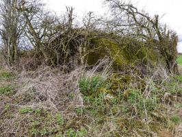 Ligne Maginot - B773 - MORENRIEUX - (Abri) - 