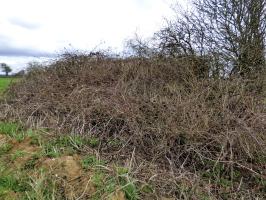 Ligne Maginot - B773 - MORENRIEUX - (Abri) - 