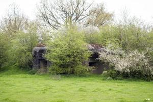 Ligne Maginot - B772 - LA COULONNIERE SUD - (Blockhaus pour canon) - 