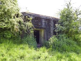 Ligne Maginot - B772 - LA COULONNIERE SUD - (Blockhaus pour canon) - 