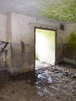 Ligne Maginot - B772 - LA COULONNIERE SUD - (Blockhaus pour canon) - 