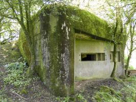Ligne Maginot - B771 - LA COULONNIERE NORD - (Blockhaus pour canon) - 