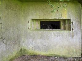 Ligne Maginot - B771 - LA COULONNIERE NORD - (Blockhaus pour canon) - 