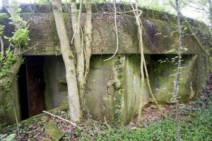 Ligne Maginot - CB14 - (Blockhaus pour canon) - Entrée et créneau