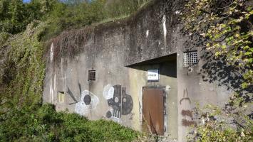 Ligne Maginot - STRESSLING - X7 - (Abri) - 