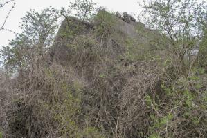 Ligne Maginot - 52/3 - CHAPELLE SAINTE COLOMBE - (Casemate d'infanterie - Double) - 
