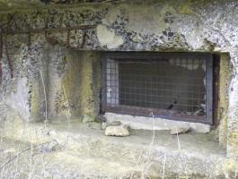Ligne Maginot - B776 - LES ROLIVEAUX - (Blockhaus pour canon) - 