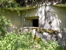 Ligne Maginot - A55 - CENSE PICOT - (Casemate d'infanterie - Double) - 