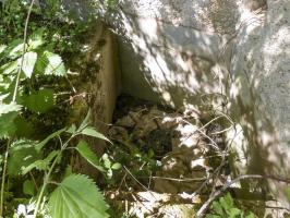 Ligne Maginot - A55 - CENSE PICOT - (Casemate d'infanterie - Double) - 