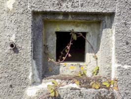 Ligne Maginot - A56 - BOUT D'EN HAUT - (Casemate d'infanterie - Double) - Créneau FM par les entrées