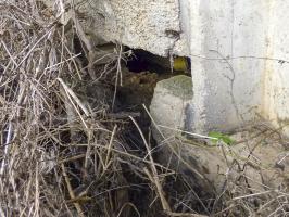 Ligne Maginot - A62 - PETIT HONGREAU SUD - (Casemate d'infanterie - Simple) - 