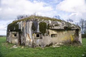 Ligne Maginot - B799 - L'ANGOUNERIE SUD - (Blockhaus pour canon) - 