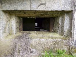 Ligne Maginot - A113 - DEMI LIEUE - (Casemate d'infanterie - Double) - 